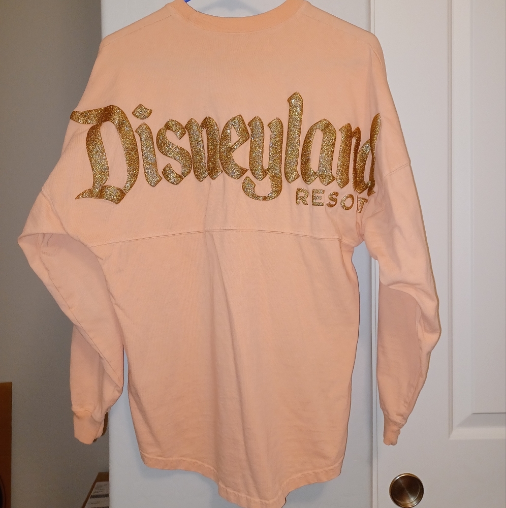Disney parks spirit jersey